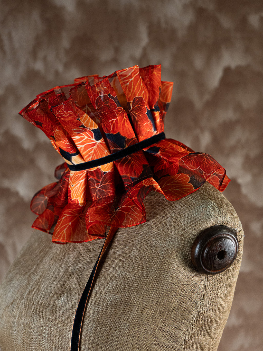 The Birth of Phoenix - Victorian Ruffles