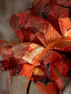 The Birth of Phoenix - Victorian Ruffles