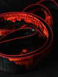 The Birth of Phoenix - Karafuto Belt